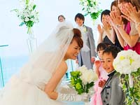 TEARDROP ����